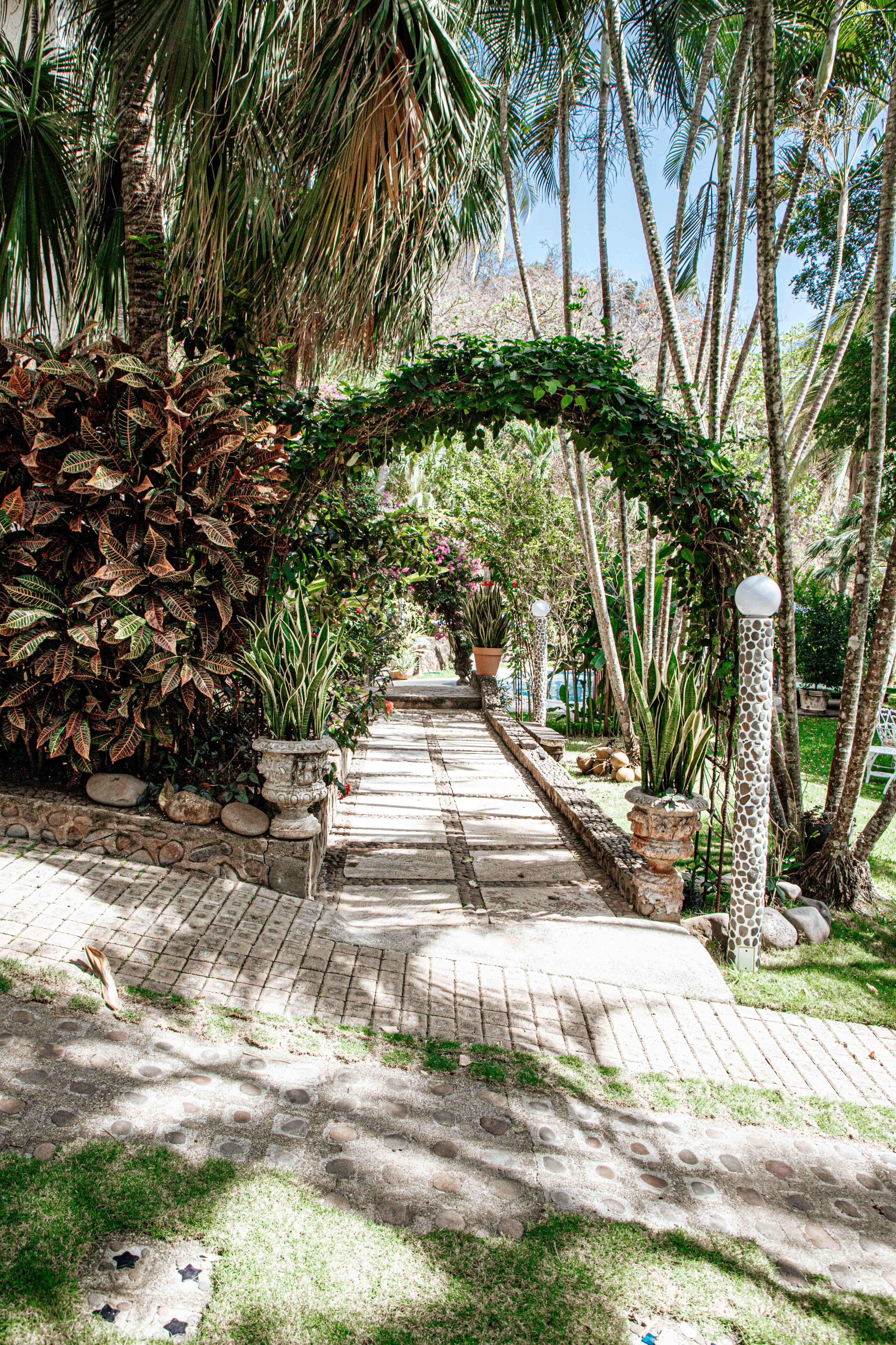 Entrance detail with tropical plantings